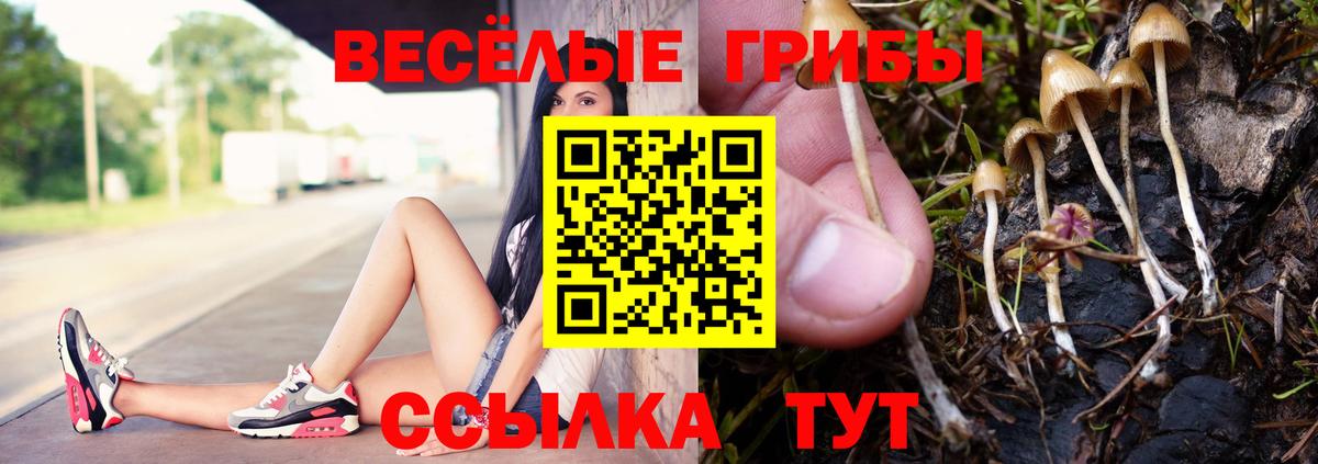 Якутск  Галлюциногенные грибы Psilocybine cubensis  Вход с VPN  Галлюциногенные грибы Psilocybe 